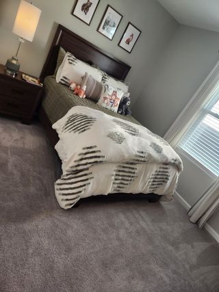 A cozy bedroom with plush carpeting, a wooden bed, playful decor, and ample natural light.