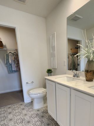 A modern bathroom with mosaic-tiled flooring, white vanity, and elegant plant decor.