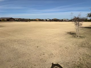 Expansive open field with distant homes under a clear sky at Bella Vista Farms: Premier by Lennar (San Tan Valley, AZ).