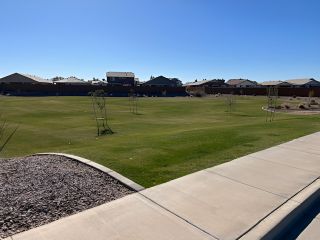 A serene, spacious green park with young trees, nestled in Villages at Rancho El Dorado by Richmond American Homes (Maricopa, AZ).