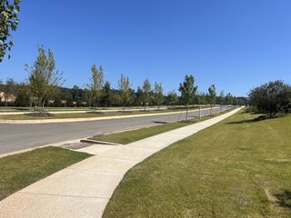 A serene, tree-lined street with fresh landscaping in Carolina Riverside by Del Webb (Belmont, NC).