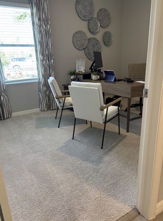 A cozy home office featuring a modern desk, elegant wall decor, and plush carpet with natural light filtering through windows.