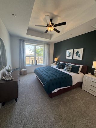 A cozy bedroom featuring a dark accent wall, plush carpet, elegant bedding, and modern ceiling fan.