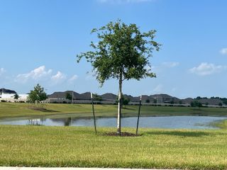 Community Amenities A lush green space with a young tree and a peaceful pond, offering a refreshing outdoor retreat at Sterling Point at Baytown Crossings by Lennar (Baytown, TX).