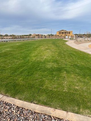 Expansive green lawn and new construction in Solstice at Terraza by Tri Pointe Homes, San Tan Valley, AZ.