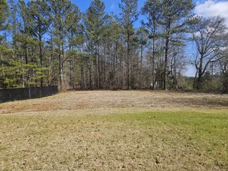 A large open backyard with green grass and a wooded area, offering a peaceful and private outdoor space.