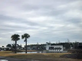 A serene entrance with palm trees and a pond at Del Webb Wildlight by Del Webb (Wildlight, FL).