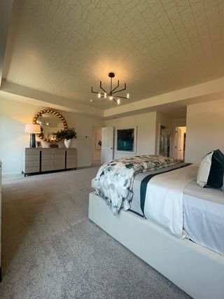 A spacious bedroom with elegant decor, patterned ceiling, modern chandelier, and plush carpeting.