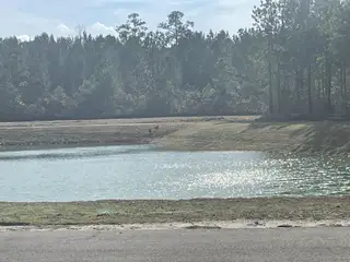 A serene pond with shimmering water and lush trees in Sheep Island by D.R. Horton, Summerville, SC.