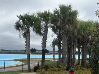Community Amenities Stunning palm-lined landscape surrounding the beautiful lake at Mirada Active Adult by Lennar, perfect for outdoor living (San Antonio, FL).