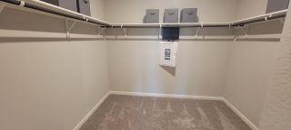 A spacious, carpeted walk-in closet with ample shelving and storage boxes, offering functional organization.