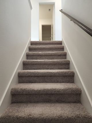 A carpeted staircase with a sleek handrail leads to an inviting, well-lit hallway.
