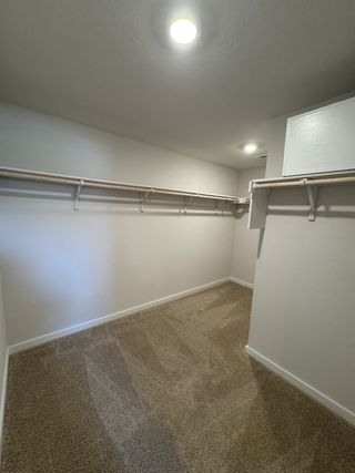 A spacious walk-in closet featuring plush carpet and ample shelving for organized storage.