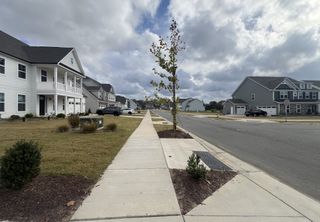 Street view A picturesque community with elegant homes and manicured lawns in Harmony by Eastwood Homes (Harrisburg, NC).