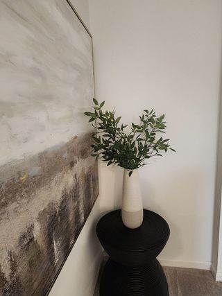 A modern hallway with plush carpet, featuring a minimalist black side table with a potted plant and textured artwork.
