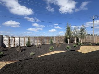 A beautifully landscaped backyard with a wooden fence and clear skies in Weltner Farms by Beazer Homes (New Braunfels, TX).