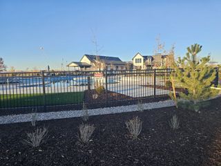 Community Amenities A modern community pool with surrounding homes in Westerly by Brightland Homes, Erie, CO.