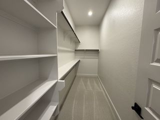 Model Home A spacious walk-in closet with ample shelving, hanging rods, and soft lighting over neutral carpeting.