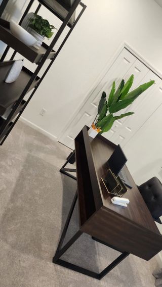 A sleek home office with a dark wood desk, open shelving, and lush greenery, creating a productive and inviting workspace.