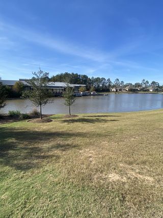 Street view A serene lakeside view in ARTAVIA® - 60' by Westin Homes, surrounded by greenery, perfect for nature lovers (Conroe, TX).