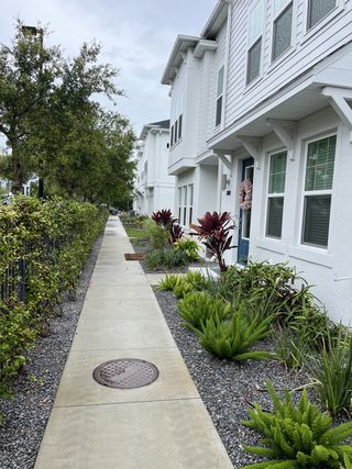 Beautiful white townhomes with manicured landscaping along a sidewalk in Westshore Crossing by David Weekley Homes (Tampa, FL).