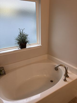 A serene bathroom with a frosted window, elegant soaking tub, and a touch of greenery for a spa-like ambiance.