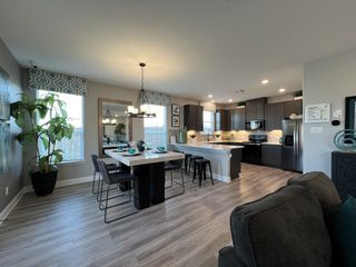 A modern open-concept kitchen with dark cabinets, island seating, elegant dining area, and wood laminate flooring.