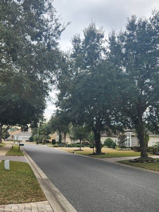 A tree-lined street with manicured lawns and elegant homes, offering a peaceful and picturesque neighborhood setting in Amelia National.
