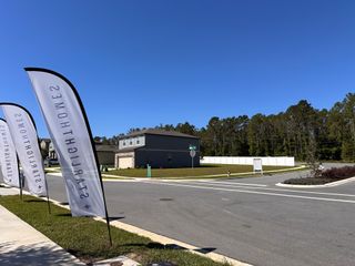 Charming neighborhood with modern homes and lush greenery in Phillips Landing by Starlight Homes (Groveland, FL).