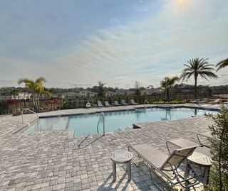 A stunning resort-style pool with a spacious deck, palm trees, and lounge chairs for relaxing under the Florida sun in Windrose by D.R. Horton (Apopka, FL).
