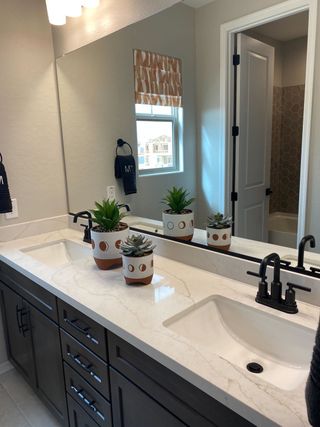 A stylish bathroom features a dual vanity with a Miraggio Gold quartz countertop, dark wood cabinets, and potted succulents, reflecting in a large mirror.