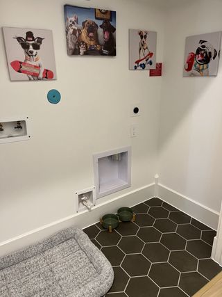 A pet-friendly space featuring playful dog art, hexagonal tile flooring, and cozy pet essentials.