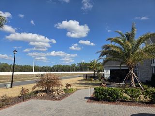 A picturesque view with palm trees and a charming home in Tidewater by ICI Homes, Jacksonville, FL.