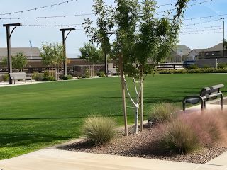 A lush park with string lights and seating in Bella Vista Farms by Starlight Homes (San Tan Valley, AZ).