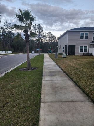A scenic sidewalk lined with palm trees and modern townhomes in Villages at Longbay by Lennar, offering a vibrant neighborhood setting.