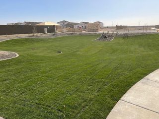 A vibrant green lawn with developing homes in El Rancho Santa Rosa by Centex (Maricopa, AZ).