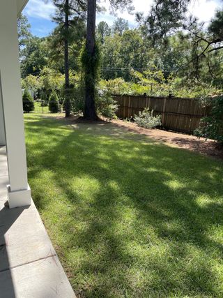 A lush backyard with tall trees and a wooden fence, offering serene privacy and green space.