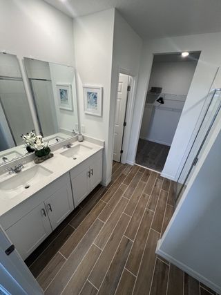 A sleek bathroom featuring dual sinks, wood-look tile flooring, and ample storage with a walk-in closet.