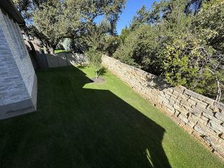 Street view A serene backyard with lush grass and a stone wall in Wolf Ranch - 55' by Westin Homes (Georgetown, TX).