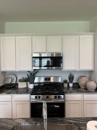 Model Home A sleek kitchen featuring white cabinetry, stainless steel appliances, and a granite countertop adorned with decorative plants.