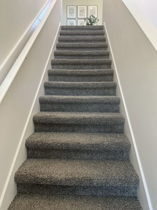 A carpeted staircase leading to a bright hallway with framed art and a decorative plant.