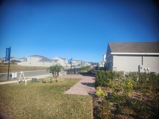 Street view Charming neighborhood street view with manicured lawns in Bargrove Estates by Landsea Homes (Mount Dora, FL).