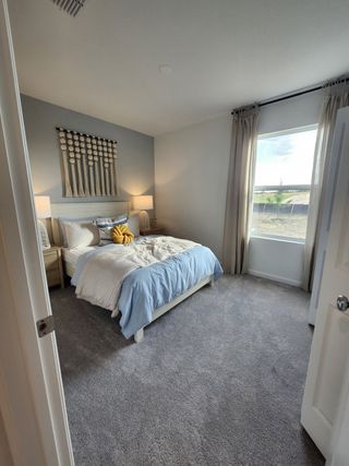 A cozy bedroom with soft carpeting, a comfy bed, and soothing decor featuring natural light from a large window.