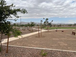 A serene view of a landscaped park with pathways and young trees in Allen Ranches: Discovery Collection by Taylor Morrison (Litchfield Park, AZ).
