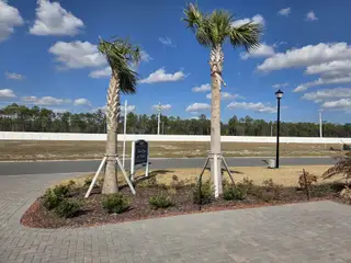 Street view A scenic community view with palm trees and blue skies in Tidewater by ICI Homes (Jacksonville, FL).