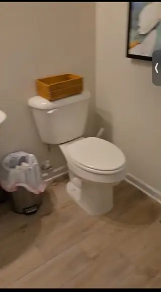 A cozy bathroom featuring a modern toilet, wood-look flooring, and stylish wall art.
