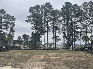 An open lot in a wooded setting at The Coves at Lakes of Cane Bay by Meritage Homes, Summerville, SC.