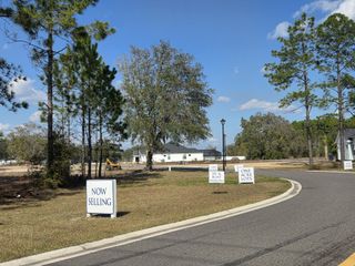 Street view A scenic view of spacious lots with lush trees and clear skies in Edwards Creek Estates by SEDA New Homes (Jacksonville, FL).