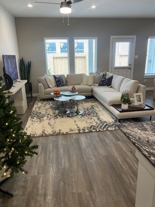 A cozy living room featuring a plush sectional, abstract rug, and modern decor with warm lighting.