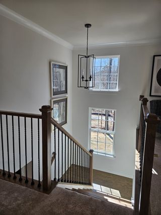 A beautifully designed modern home featuring a cozy bedroom with rustic décor, a well-lit staircase with elegant railings, and a stylish laundry room. The space is thoughtfully arranged with warm tones, contemporary furnishings, and functional design elements, creating a welcoming and practical living environment.